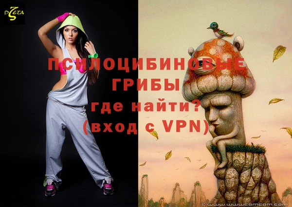 мдпв Павлово