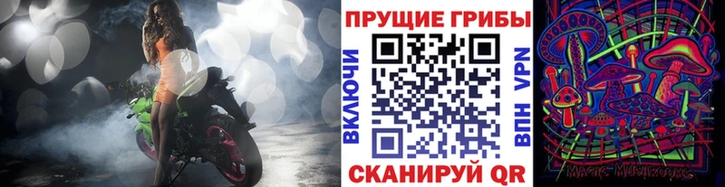 Галлюциногенные грибы MAGIC MUSHROOMS  закладка  Теберда 